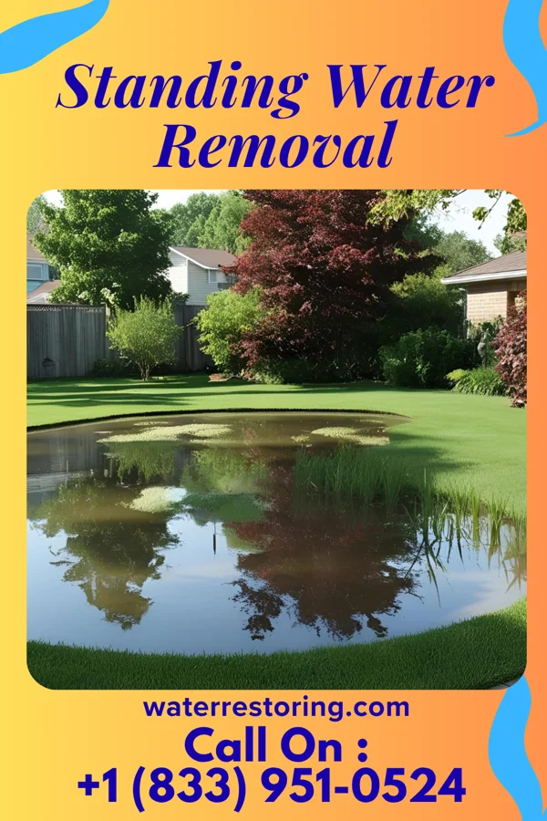 Standing Water Removal in Horn Hill, AL